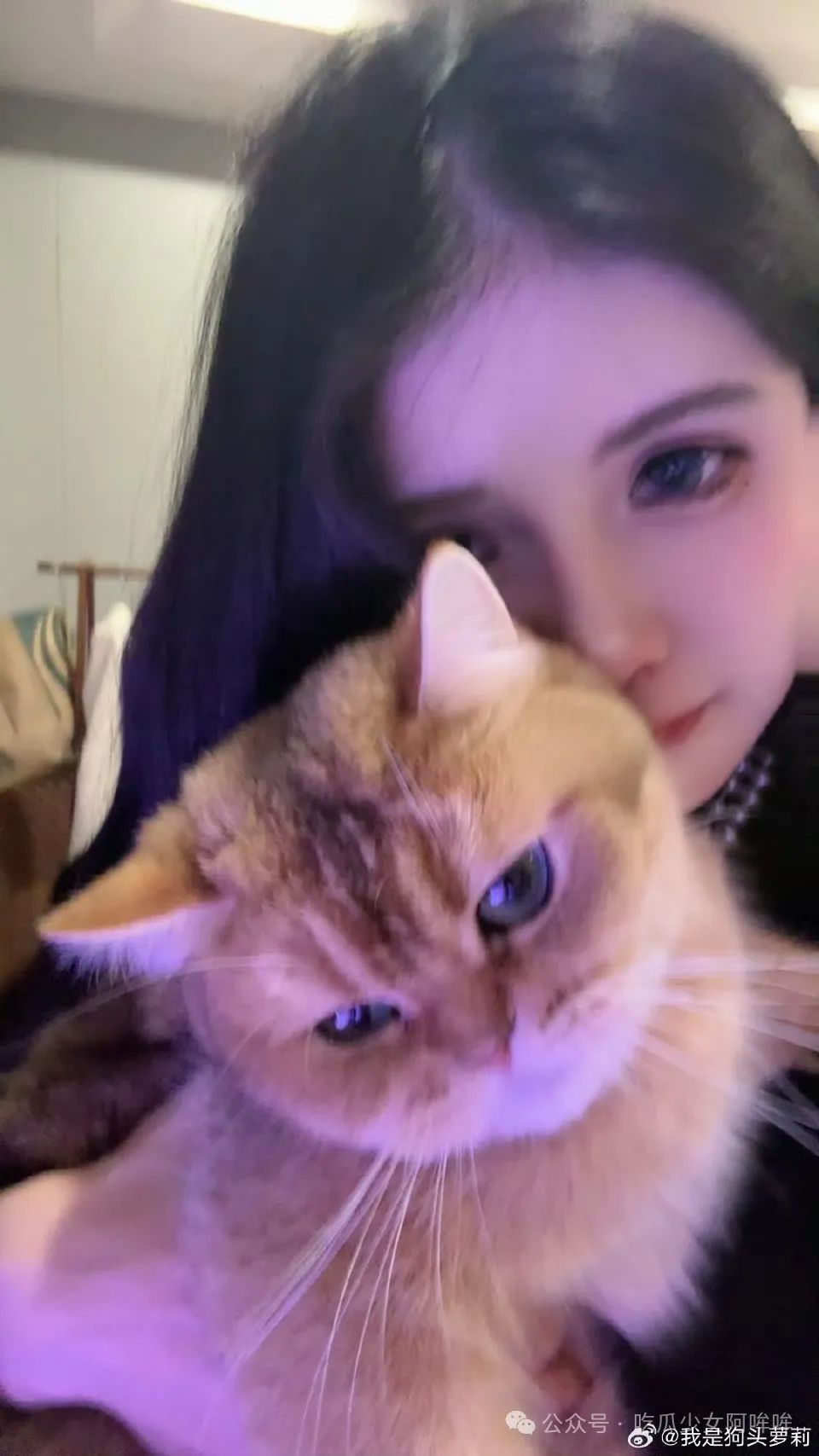 狗头萝莉拍摄短剧,预计充值过亿!举行线下粉丝见面会,网友:狗头萝莉也是好起来了!