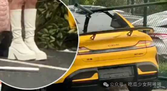 百万女网红穿恨天高闯绿化带,称小M刹车不行,网友:已截图发雷总!