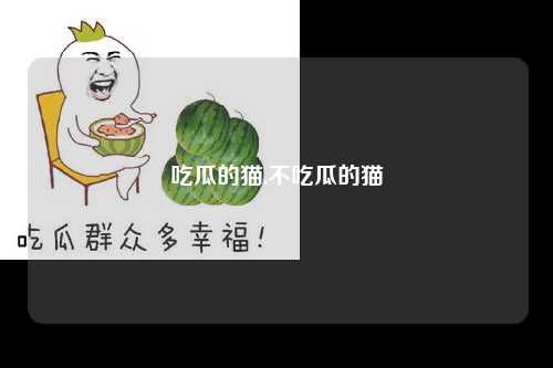 吃瓜的猫,不吃瓜的猫